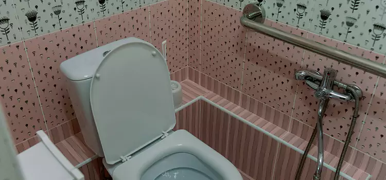 Meeting Diverse Needs With Accessible Restroom Solutions in Peoria, AZ